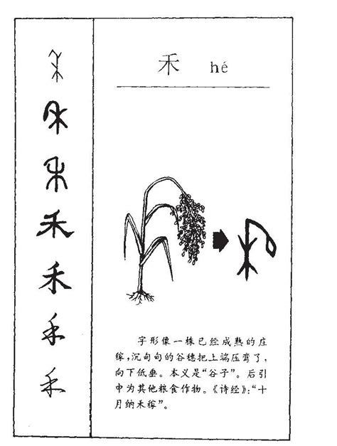 禾名字意思|禾字取名的寓意